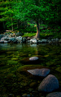 MitchellEhrlich_3 Rocks and Tree on Ausable River_DSC0497