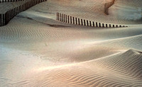 MitchellEhrlich_OBX Sand Fences_042013